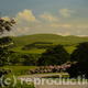 View from Penrhyn Castle | £200 | 53 x 13cm | Oil on hardboard View from Penrhyn Castle