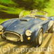 A C Cobra | | | Acrylic on canvas A C Cobra