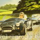 Cobras Racing