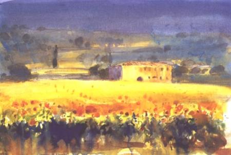 Sunflowers, Tuscany