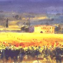 Sunflowers, Tuscany