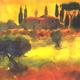 Evening light, Tuscany