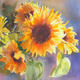 Sunflowers