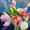 Spring flowers