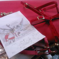 Raindeer Harness For Rimmel London