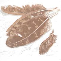 Owl Feathers