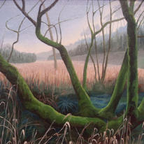 Mossy Tree, Haybridge by Veronica Cameron 
