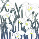 Snowdrops by Judy Evans