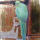 Parakeet