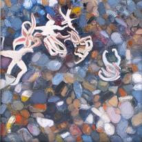'Starfish : Weybourne Beach'