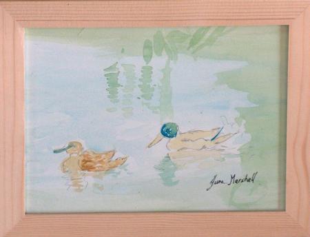 Wishy-Washy Duckies