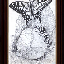 Chrysalis
