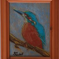 Kingfisher Pastel