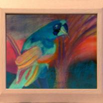 Perry Parrot