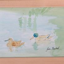 Wishy-Washy Duckies