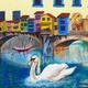 Swan in Venice