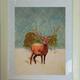 Lonely Deer at Kilarney…