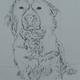 new-paintnigs-etc-141