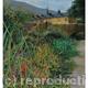 Huddersfield Canal | (sold) | | Pastel Huddersfield Canal