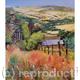 Colour | | | Oil on Canvas Colour