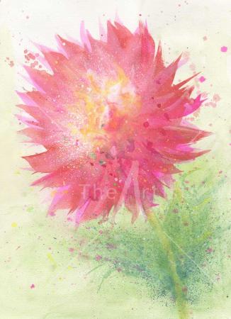 Pink Splash