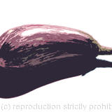 Aubergine - Archival digital inkjet limited edition