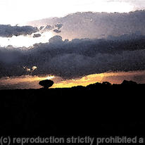 Kenya Sky 1