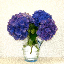 Summer Blooms