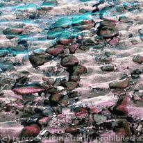 Shoreline