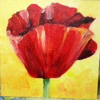 Poppy