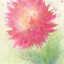 Pink Splash