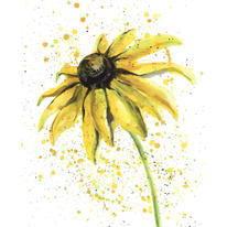Yellow Splash