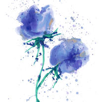 Blue Splash