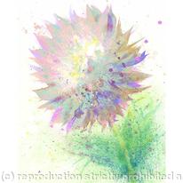 Pastel Splash