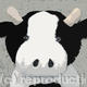 Moo