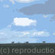 Three Sheep