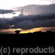 Kenya Sky 1