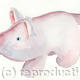 Hog