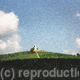 Fleurie