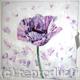 Purple poppy
