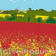 Red Meadow 2