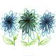 Flower Power 2