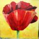 Poppy