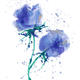 Blue Splash