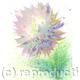 Pastel Splash