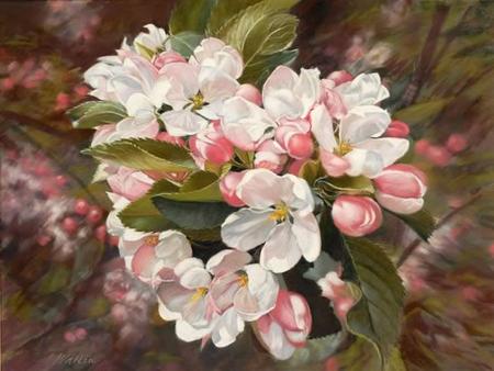 Apple Blossom