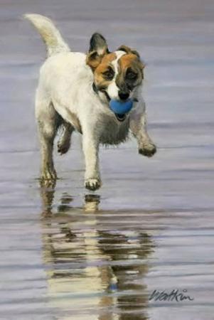 Fun on the Beach!