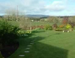 Spring Garden View