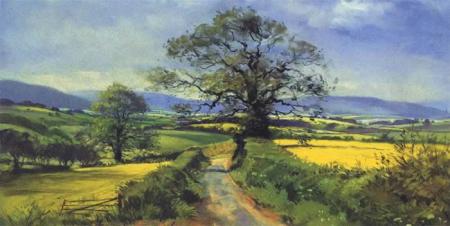 The Road to Exmoor 8 x 4 in