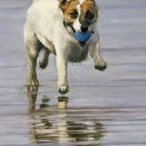 Fun on the Beach!